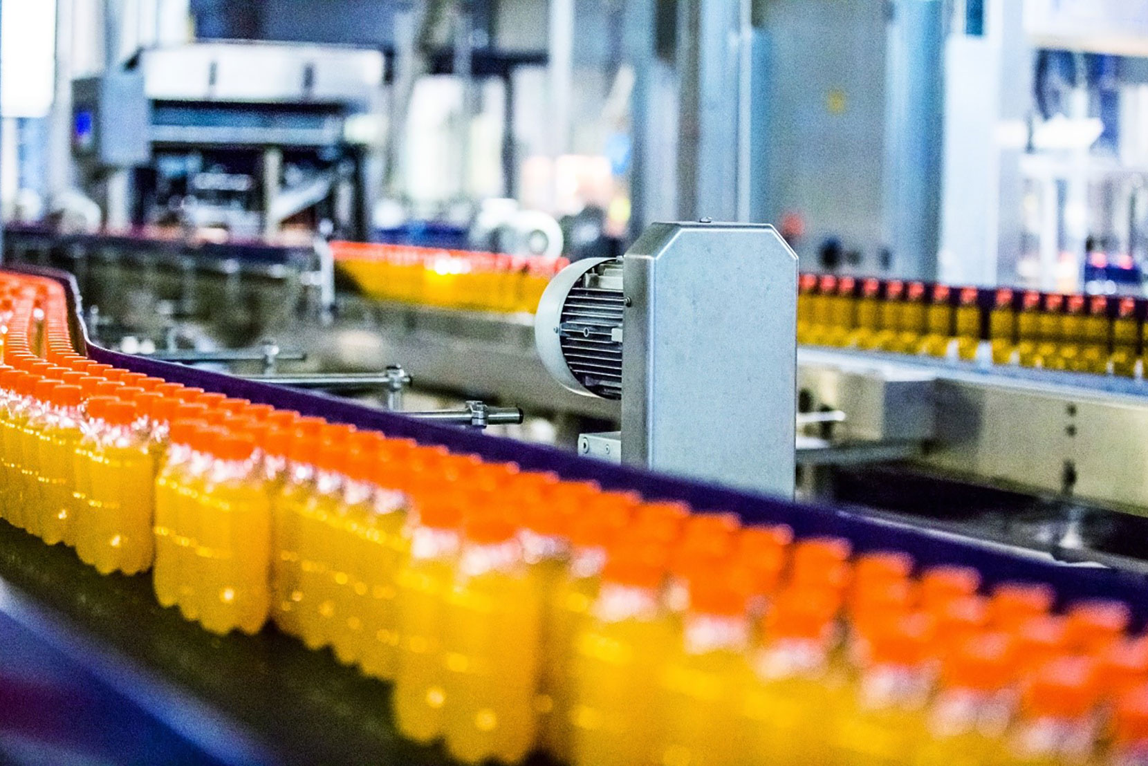 SAP S/4HANA Pre-project for Global Food Processing Company
