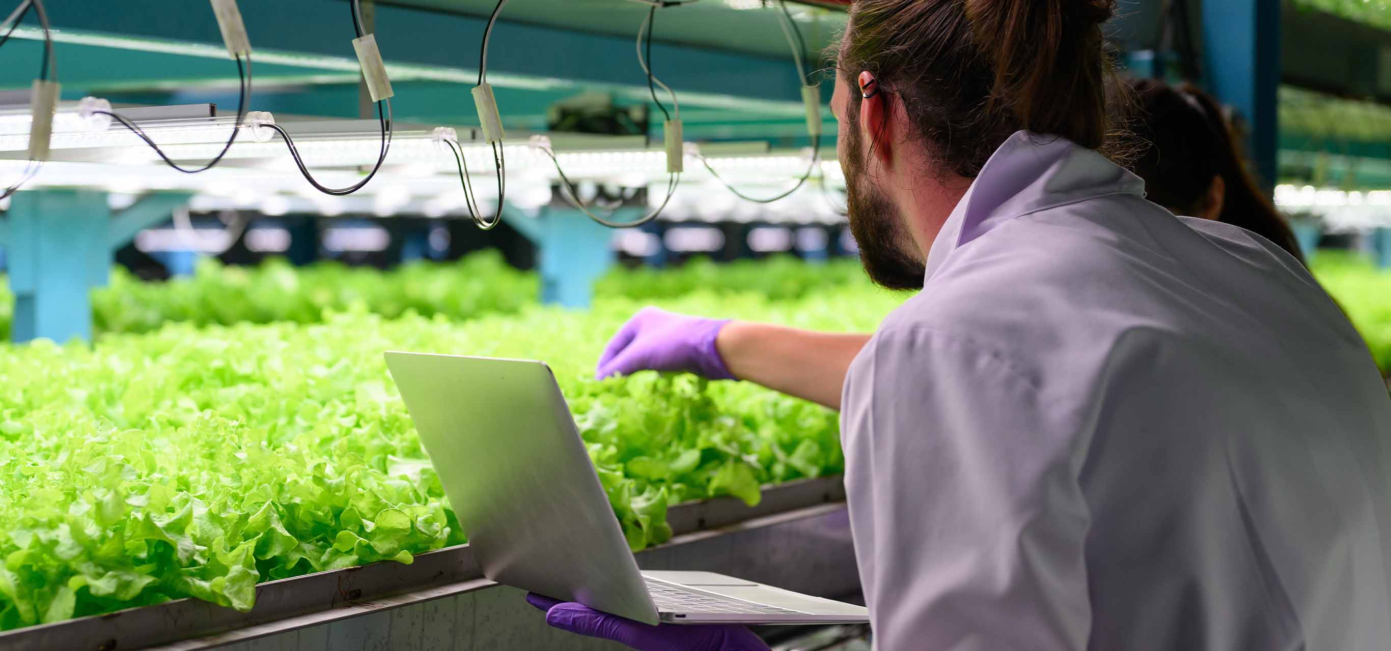 Sustainable Smart Farming: Is It Possible?