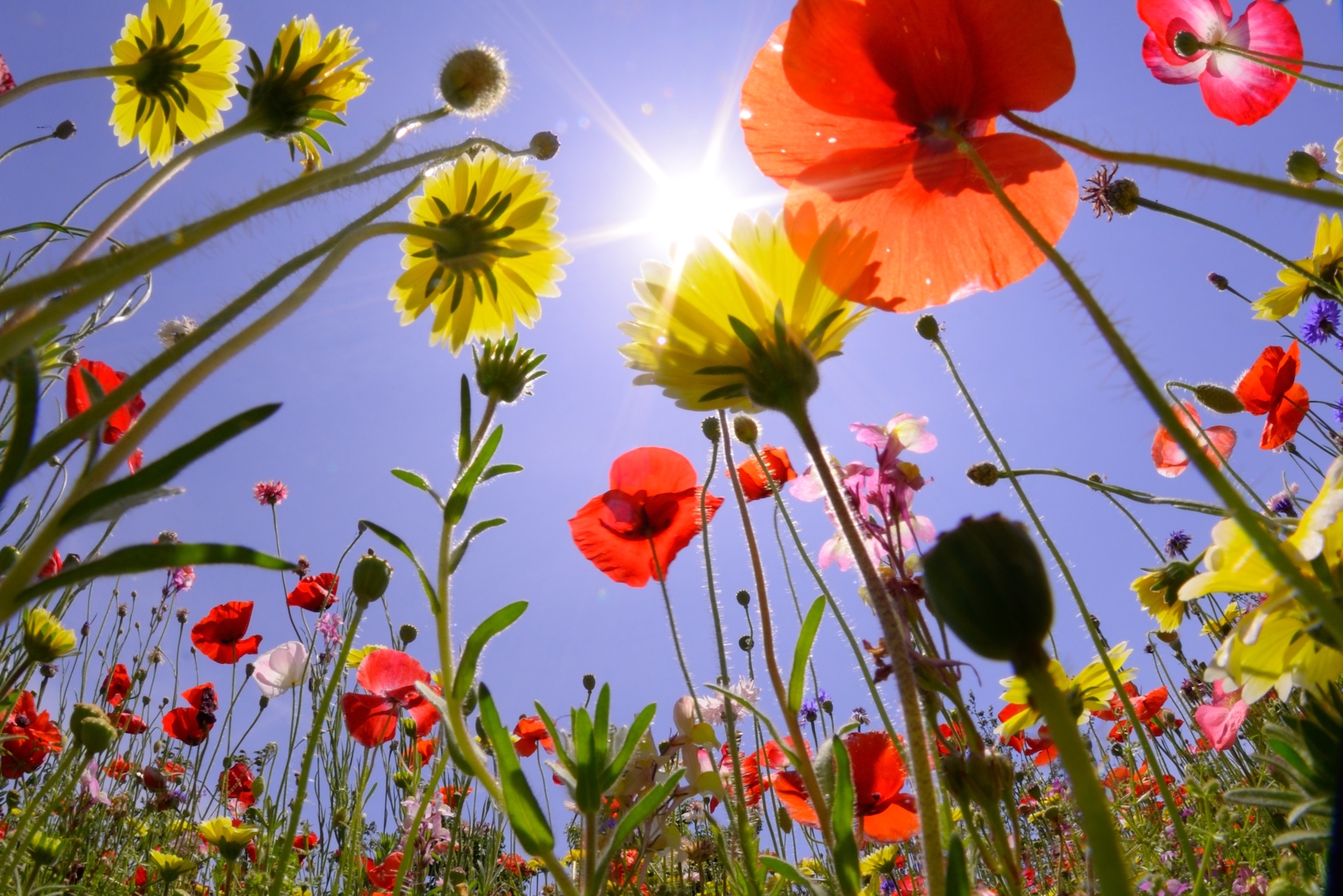 About Us Home Page: About Us｜NTT DATA