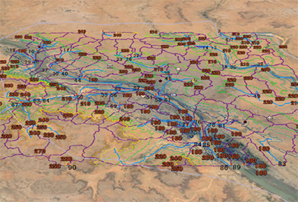 ニジェールで実施したウイルス調査の解析画像