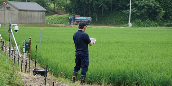 あい作™の使用風景