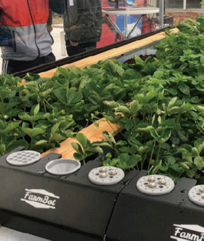 Farmbotの栽培箱「ボット」