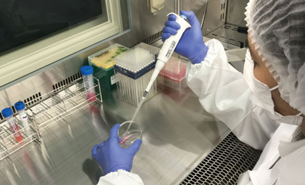 培養作業の様子