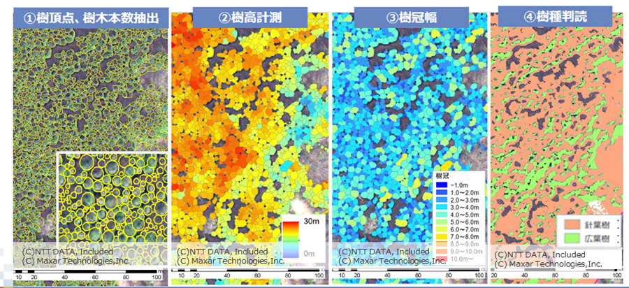図1：衛星画像を活用した森林解析例