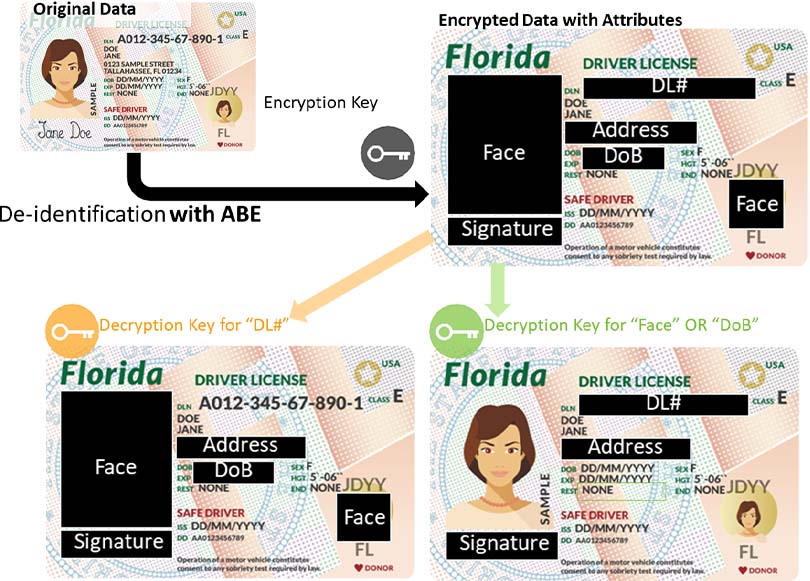 図2：データプライバシーの観点で個人情報の開示部分を属性により保護するイメージ