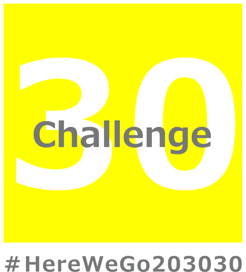 2030年30％へのチャレンジロゴ