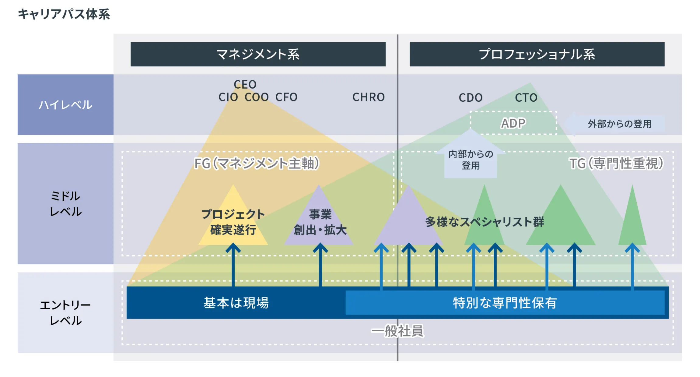 キャリアパス体系