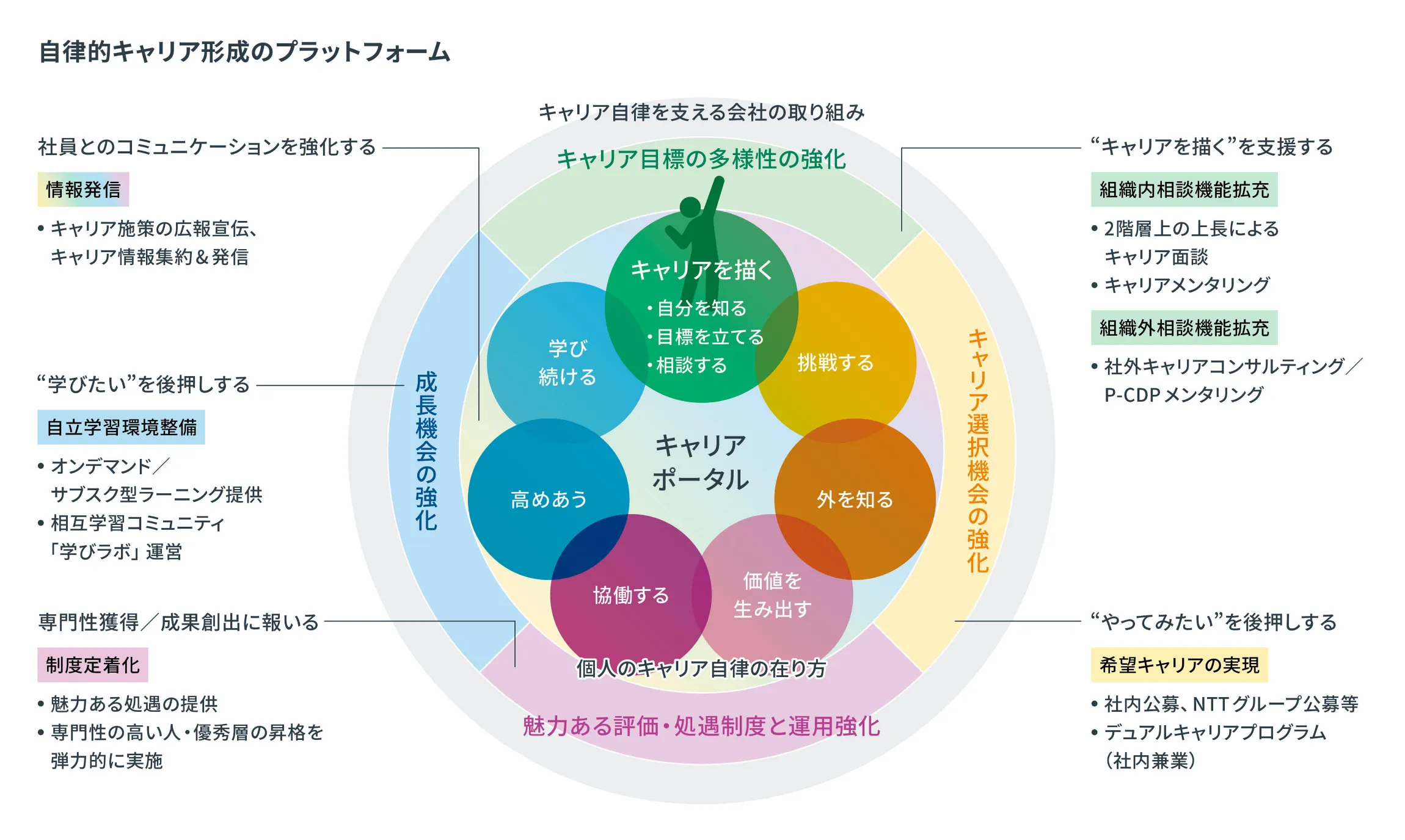 キャリアパス体系