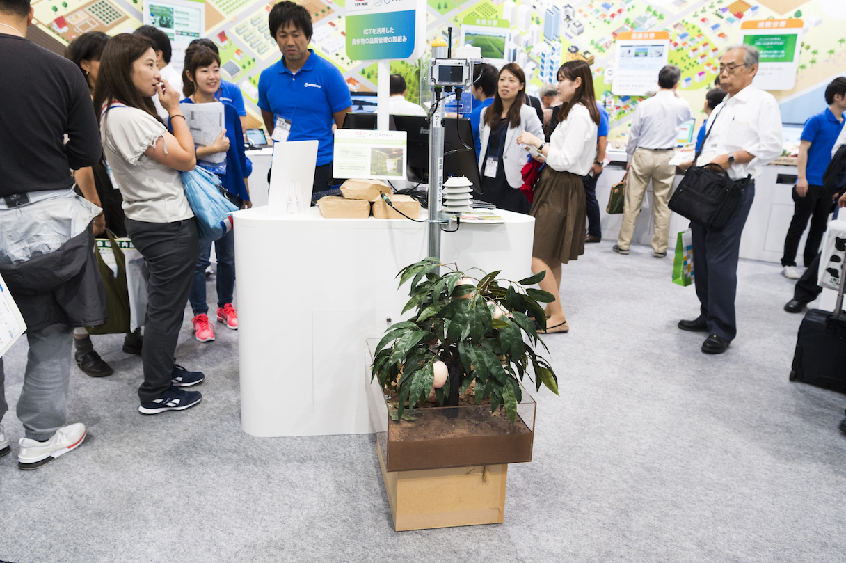 桃の果樹園に設置された温度センサーが「第4回国際次世代農業EXPO」でも展示された