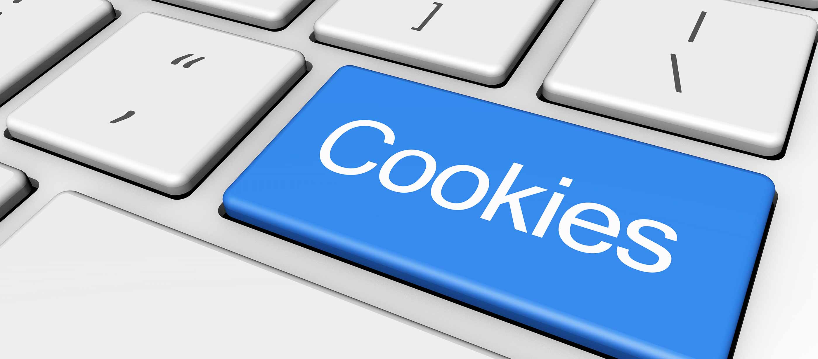 Ldquo Cookie Rdquo の取扱い 利用者のための Ldquo 個人情報利用 Rdquo Data Insight Nttデータ