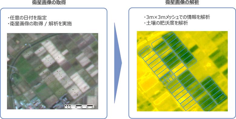 図2：圃場別の土壌の肥沃度ヒートマップイメージ 出典：NTTデータ ©NTT DATA, Included ©Maxar Technologies,Inc.