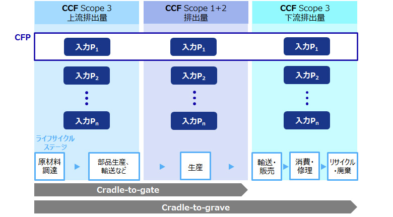 図1：CCFとCFPの概念的関係