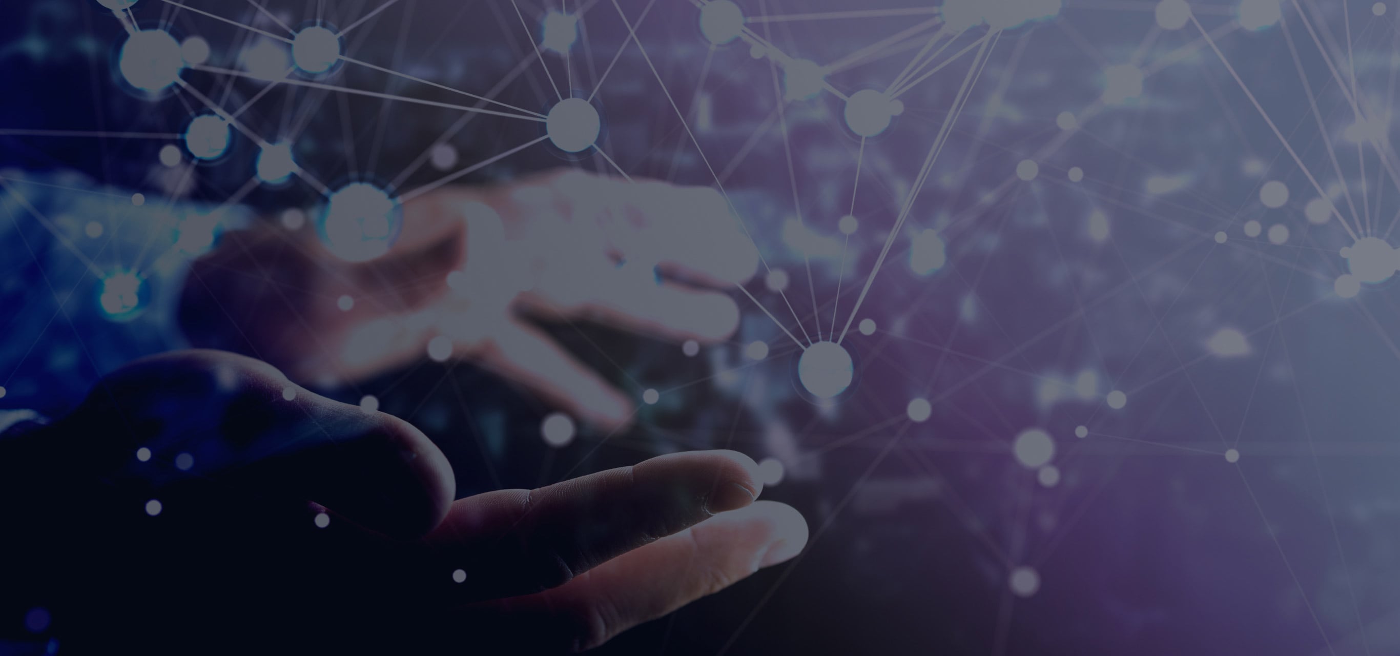 Biz∫® （ビズインテグラル）