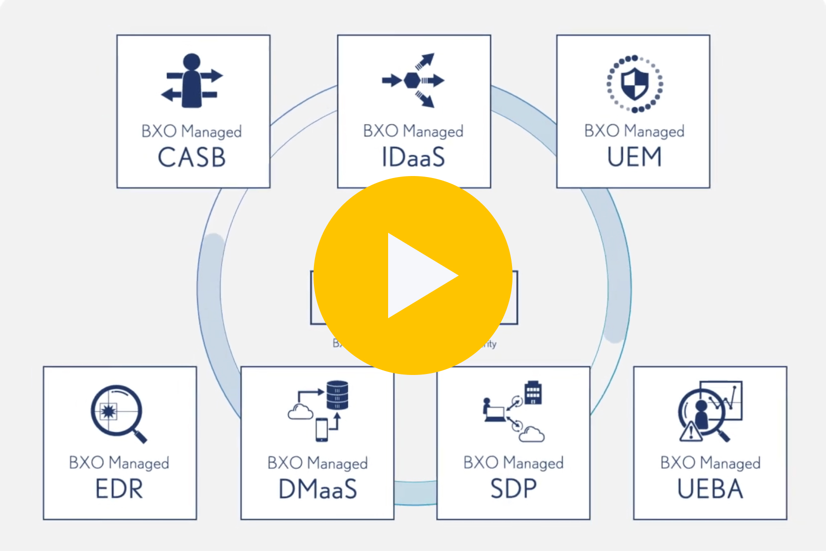 コンピュータ・IT Web Services Business Verona｜NURO Biz（ニューロ・ビズ）
