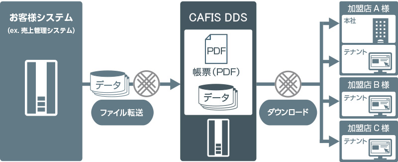 CAFIS DDS導入後